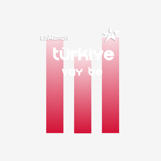 T-shirt Turquie WC Mashallah